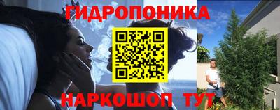 прущие крисы Ипатово
